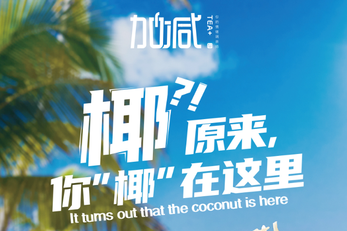 PA电子椰子系列新品火爆上市